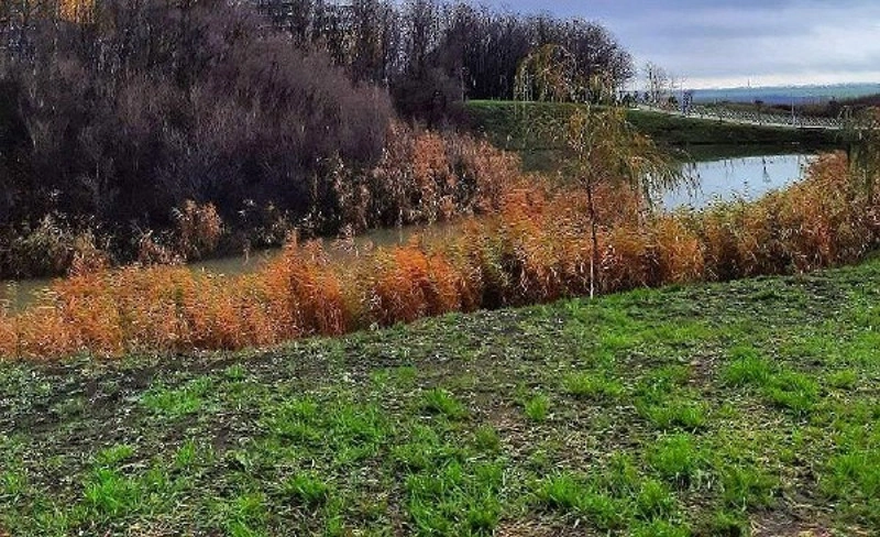 Фото: р. Темерник \\ кадр из публикаций 1rnd.ru