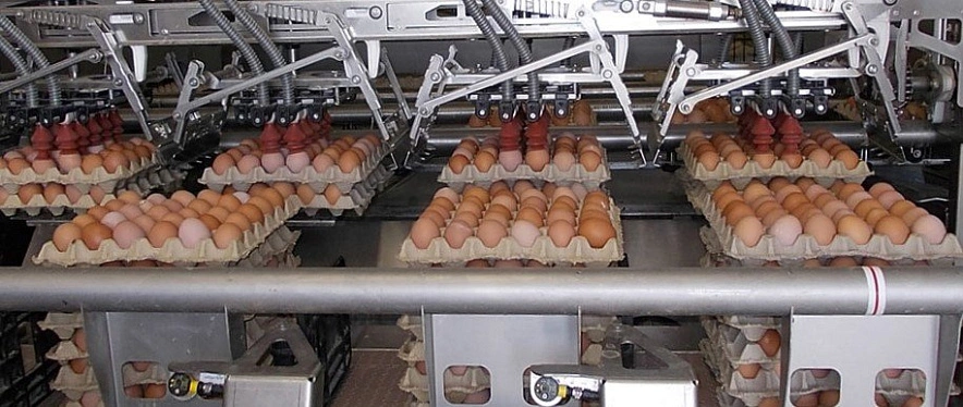 Фото: из публикаций 1rnd