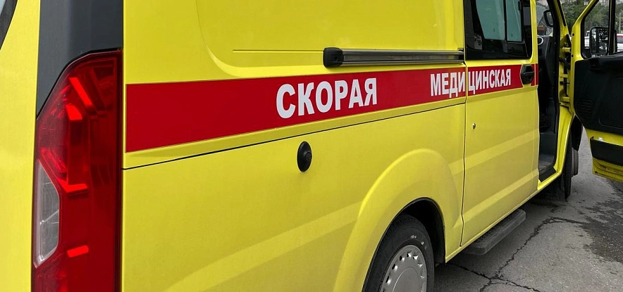 Фото: метапневмовирус // кадр из публикаций 1rnd