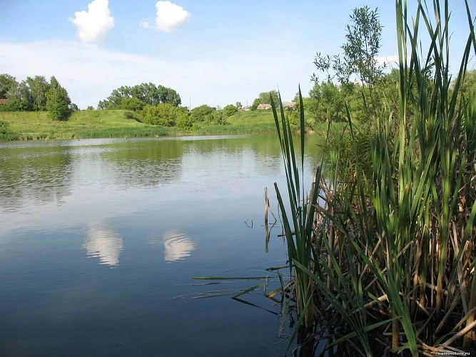 Фото: из публикаций 1Rnd