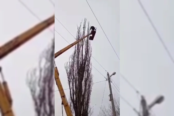 Фото: ТГ канала «Ростов №1»