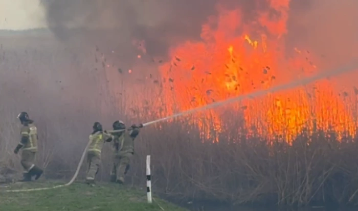 Фото: природный пожар между Ростовом и Батайском, кадр очевидца