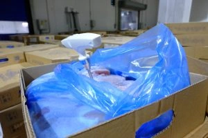 Фото: Региональный Россельхознадзор