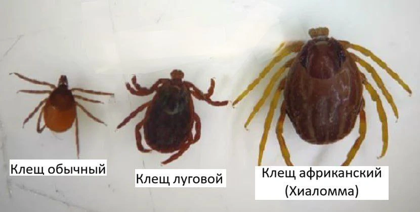 Фото: Digital Report