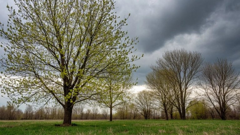 Фото: сгенерировано нейросетью Шедеврум