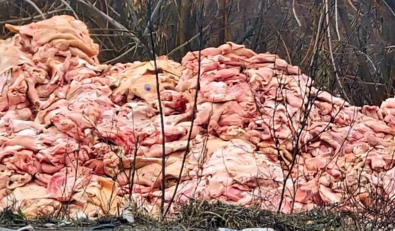 Фото: ТГ канала «Новости Ростова-на-Дону»