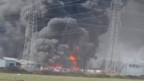 Фото: ТГ-канал "Ростов Главный"