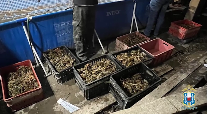 Фото: кадр оперативной съёмки