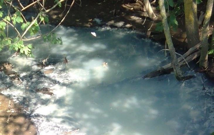 Фото: ТГ канала "Жесть Ростов"