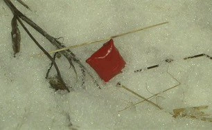 Фото: ГУ МВД РФ по РО