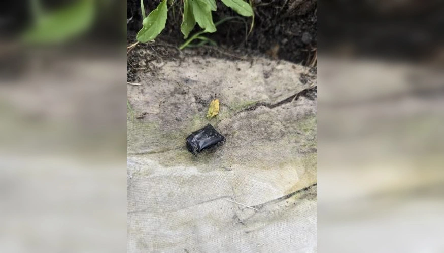 Фото: МВД по Ростовской области 