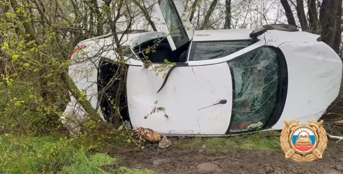 Фото: место ДТП, в котором погиб 8-летний мальчик, кадр ГАИ