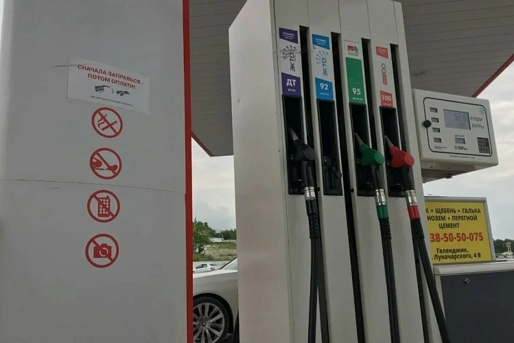 Фото: пресс-служба правительства РО