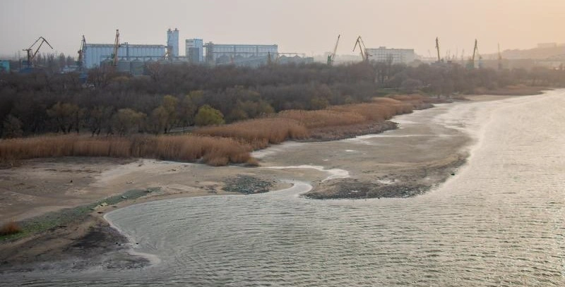 Фото: Роща рядом с Ворошиловским мостом, фото bloknot-rostov.ru