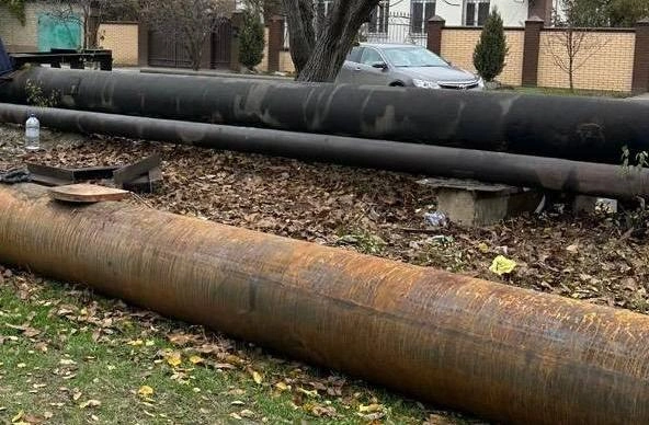 Фото: Антонина Пшеничная / telegram.org