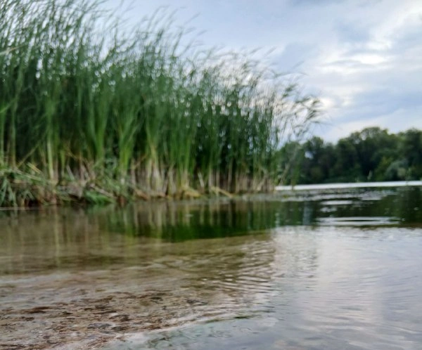 Фото: кадр 1Rnd