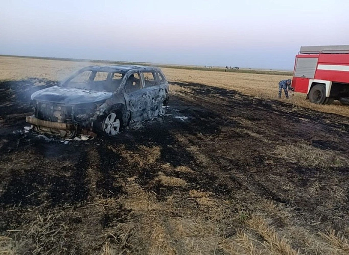 Фото: читатель 1rnd