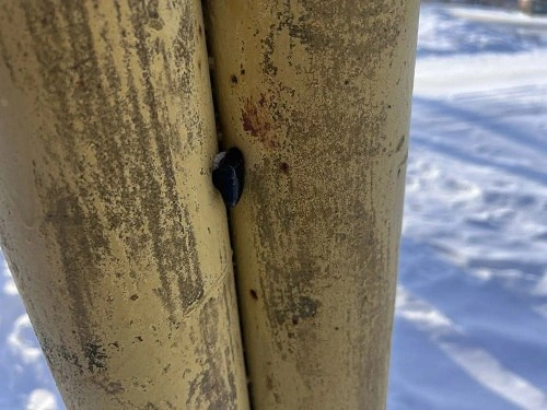 Фото: МВД по Ростовской области 