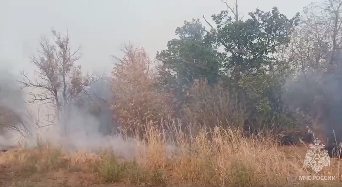 Фото: В Орловском районе горит лес \\ фото: ГУ МЧС РФ по РО