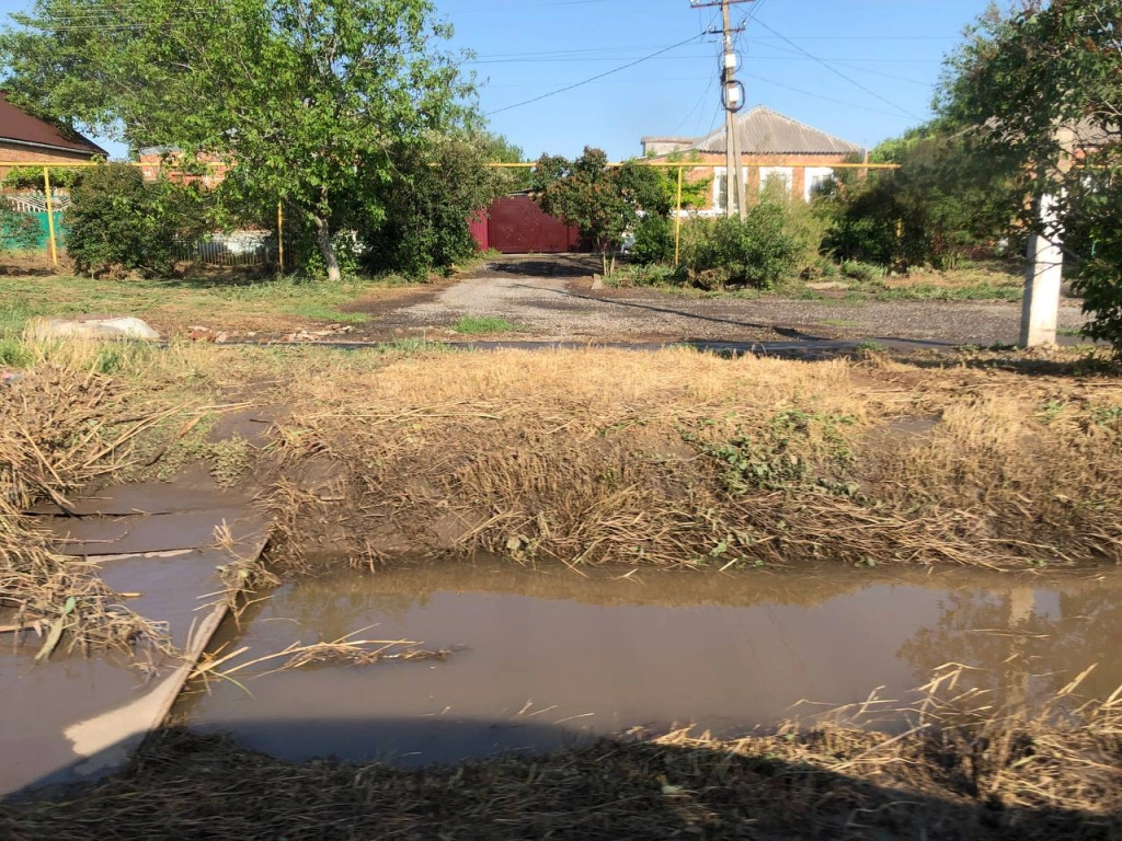 5325883447497058973.jpg 5325883447497058973.jpg