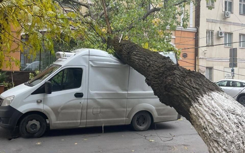 5274182585397927559 (1).jpg 5274182585397927559 (1).jpg