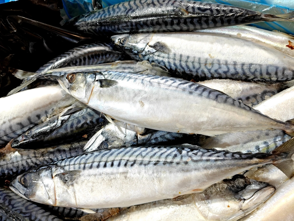 IMG20250404094643 (1).jpg IMG20250404094643 (1).jpg