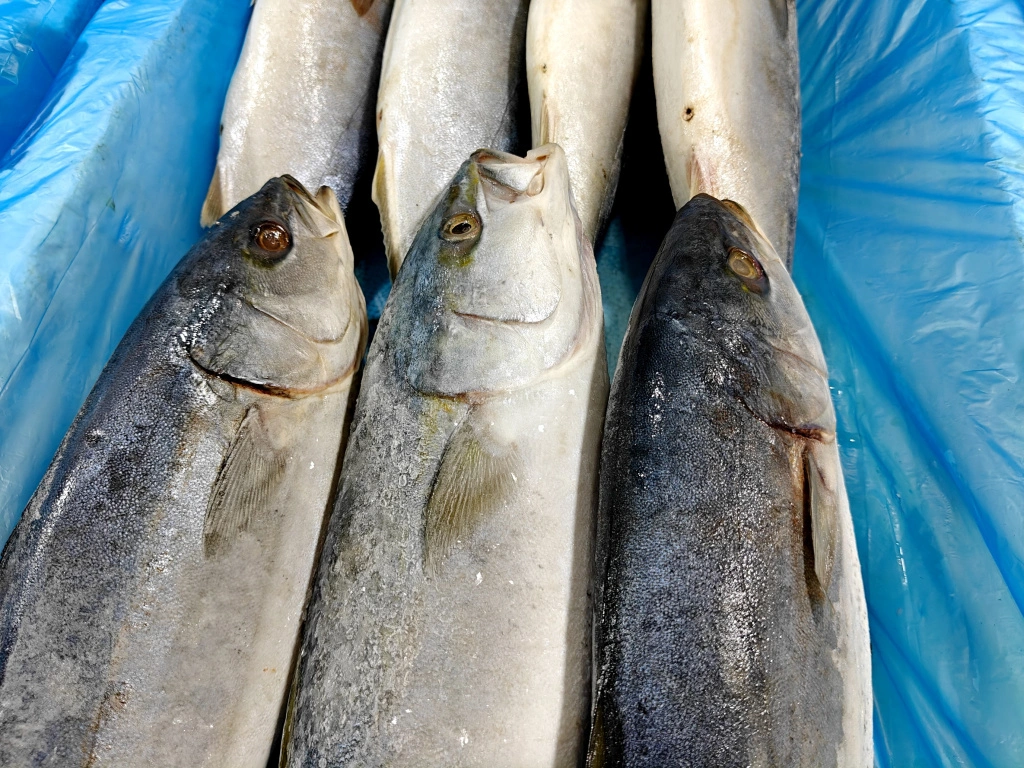 IMG20250404095025 (1).jpg IMG20250404095025 (1).jpg