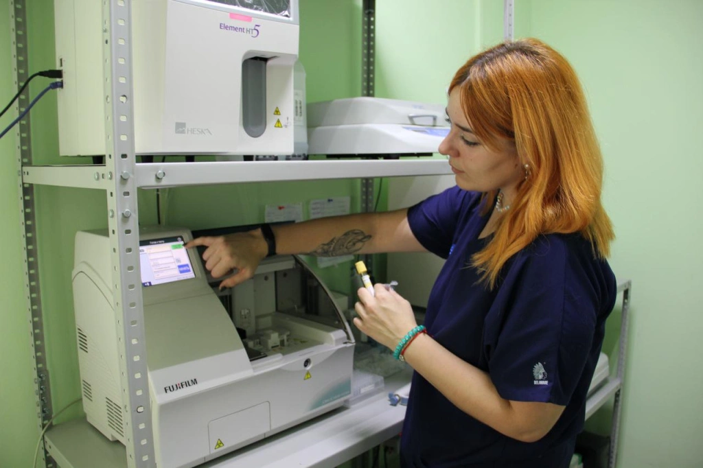 d7ae8c55-65de-41ad-a13f-2d253a3876d2.jpeg d7ae8c55-65de-41ad-a13f-2d253a3876d2.jpeg