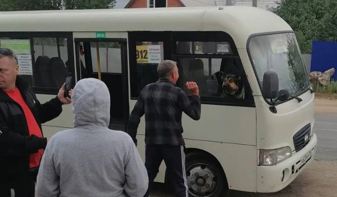 Автобус в Старой Станице, который захватила собака