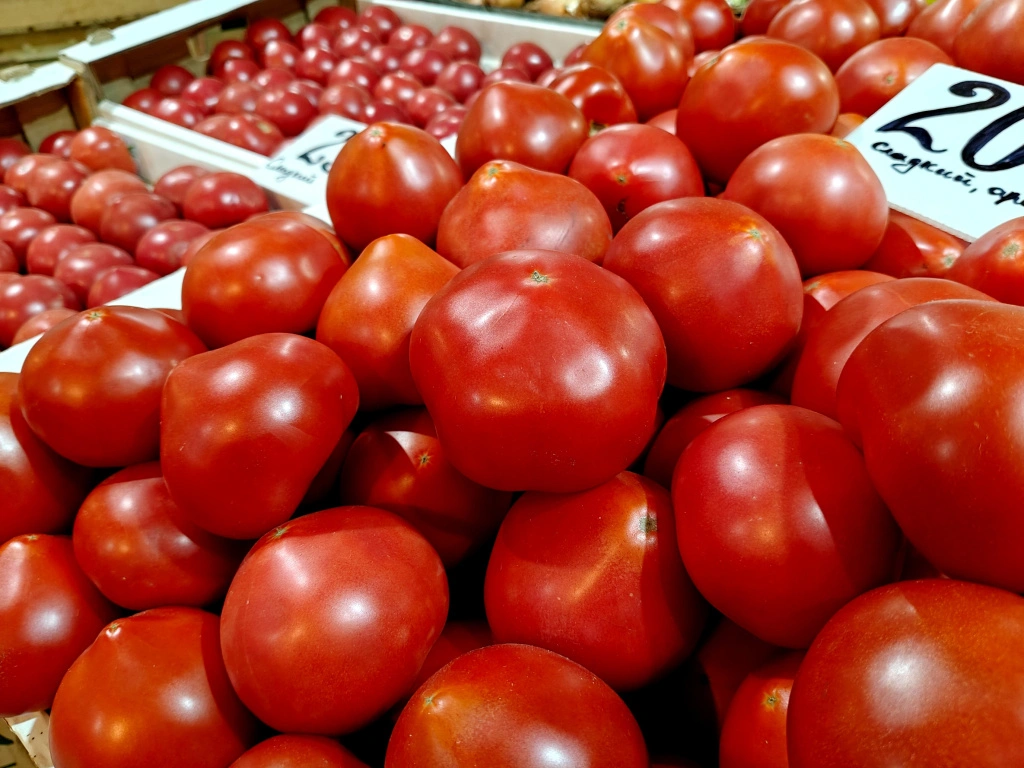 IMG20250627095810 (1).jpg IMG20250627095810 (1).jpg