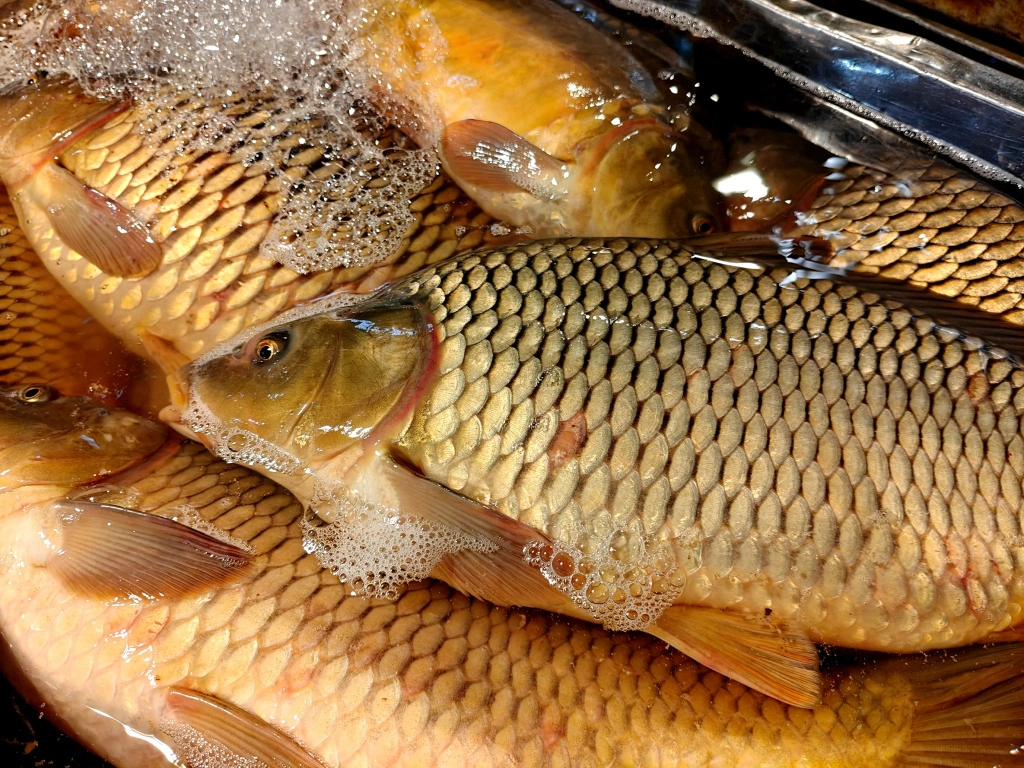 IMG20250404094257 (1).jpg IMG20250404094257 (1).jpg