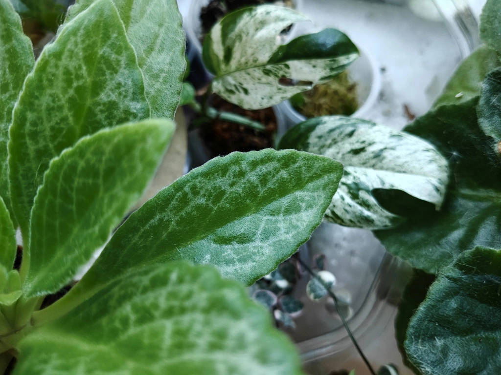 1000015868.jpg 1000015868.jpg