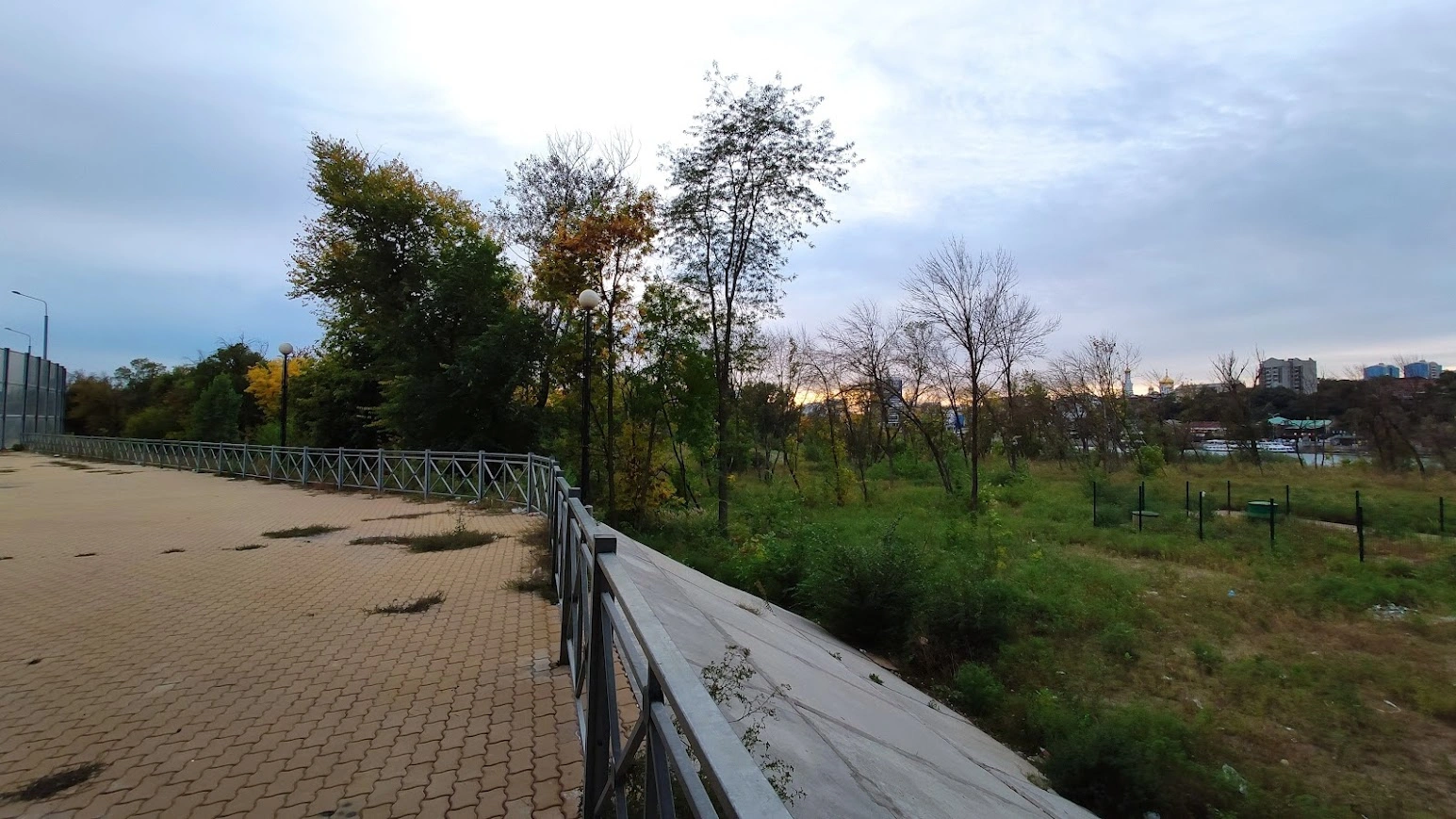 Роща на Шоссейной, которой грозит вырубка