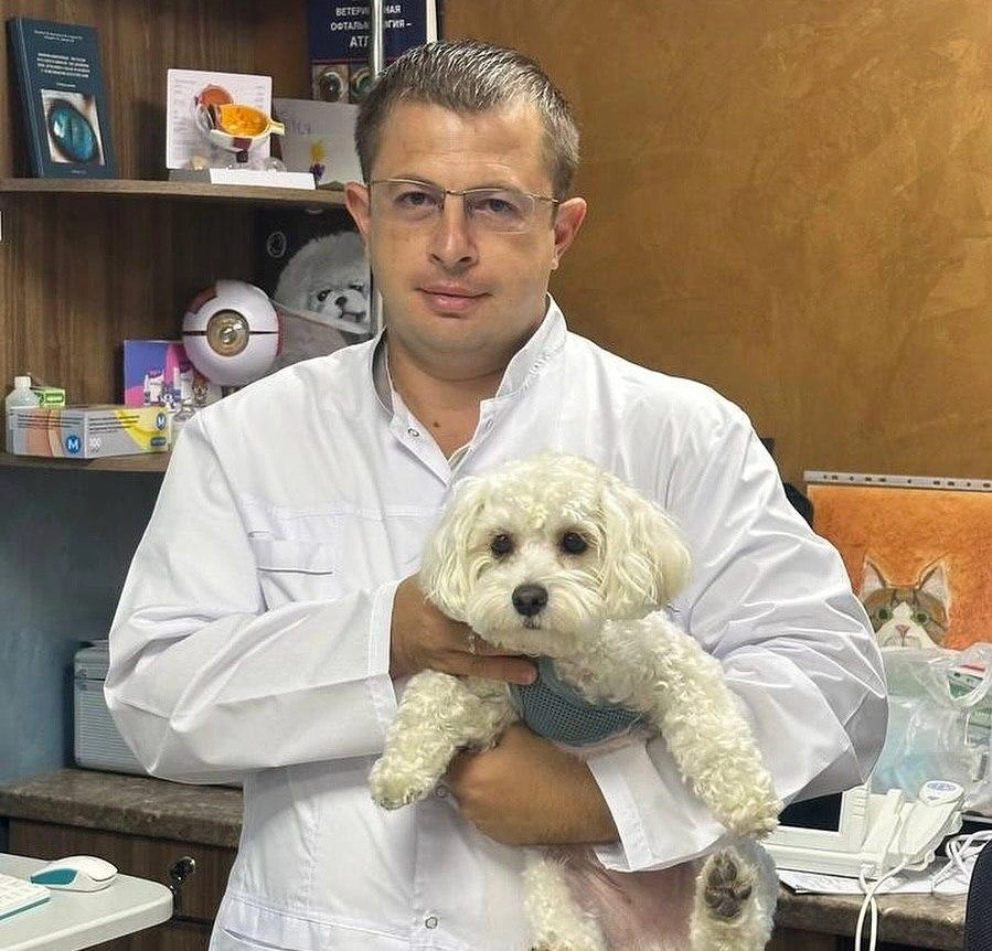 61e8088a-83b9-4862-8195-b6c433387ee3.jpeg 61e8088a-83b9-4862-8195-b6c433387ee3.jpeg