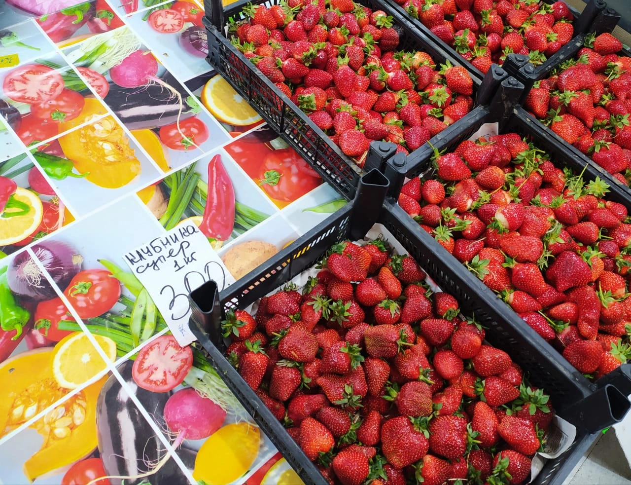 Клубника2.jpeg Клубника2.jpeg