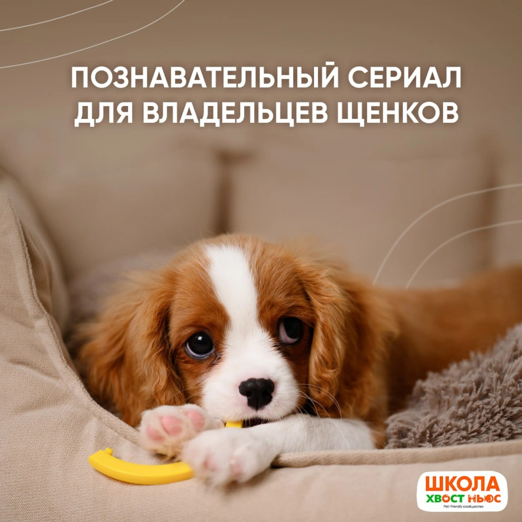 photo_5258052204357606952_y.jpg photo_5258052204357606952_y.jpg