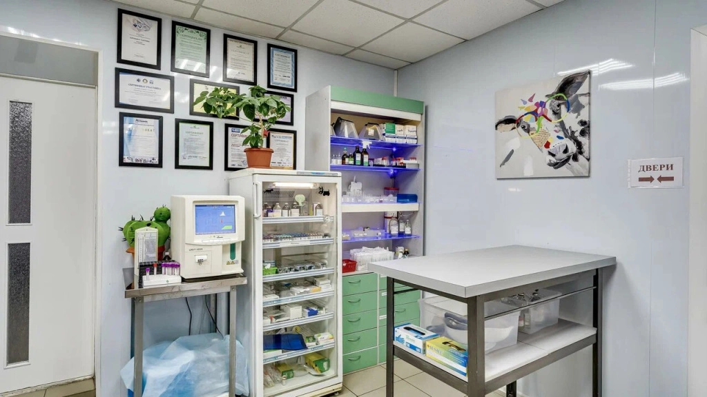 XXXL (2).jpg XXXL (2).jpg