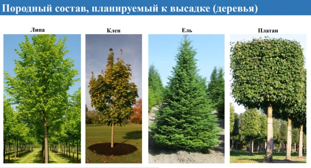 WhatsApp Image 2025-04-10 at 09.17.31.jpeg