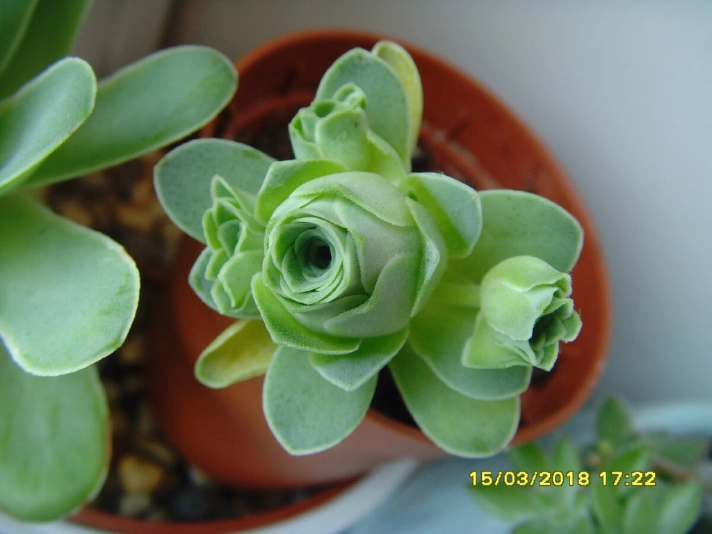 scale_1200.jpeg scale_1200.jpeg