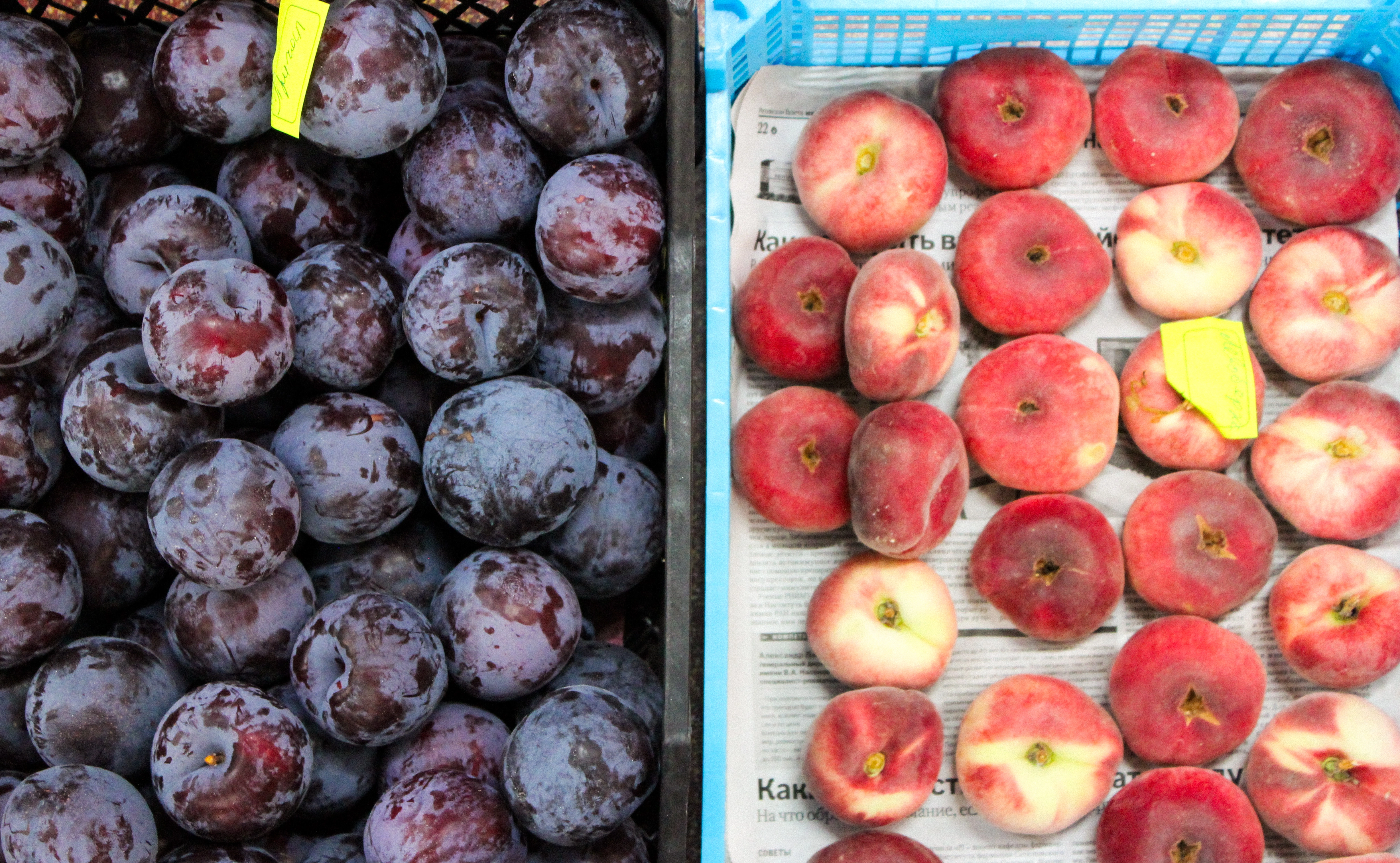 IMG_20240617_014434 (2).jpg