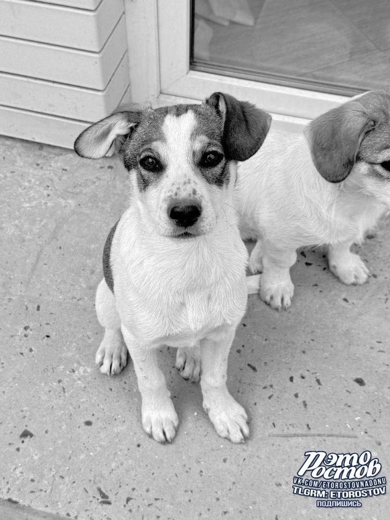 photo_2025-07-17_15-09-38 (2).jpg