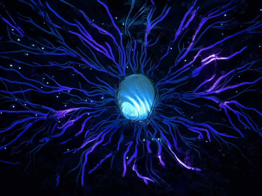 Мультимедийная инсталляция Сердце Абрау.JPG