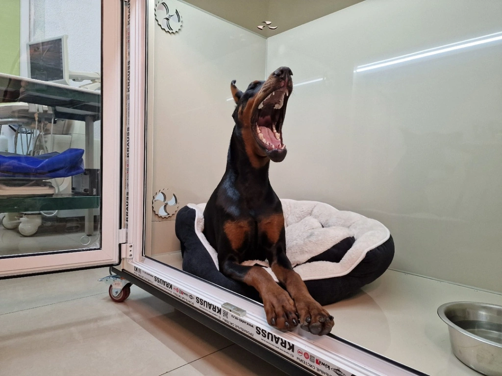 f9ee9034-d72f-4898-a0bc-8c4c92a391eb.jpeg f9ee9034-d72f-4898-a0bc-8c4c92a391eb.jpeg