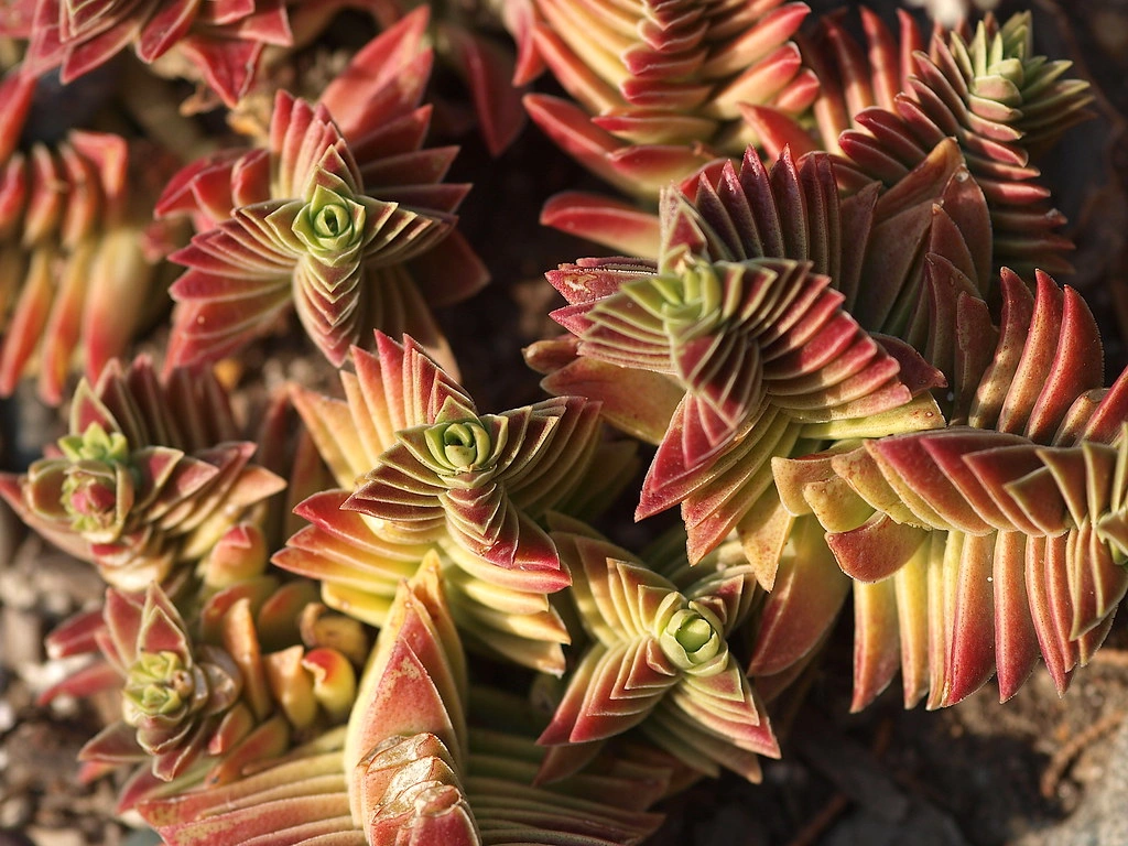 37010835713_467e3da9b2_b.jpg 37010835713_467e3da9b2_b.jpg