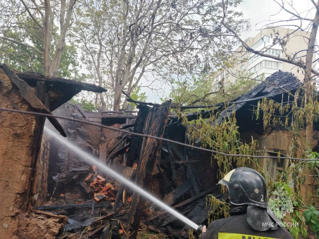 забр1.jpg забр1.jpg