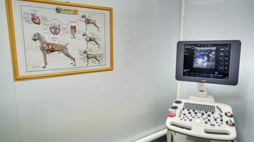 XXXL (1).jpg XXXL (1).jpg