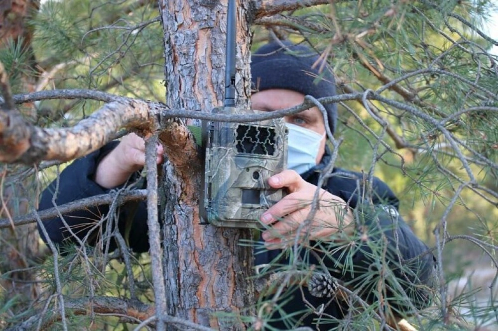 1e75547e4ae10e8d38b2463dc1aab6eb_1000_fitted_to_width.jpg 1e75547e4ae10e8d38b2463dc1aab6eb_1000_fitted_to_width.jpg