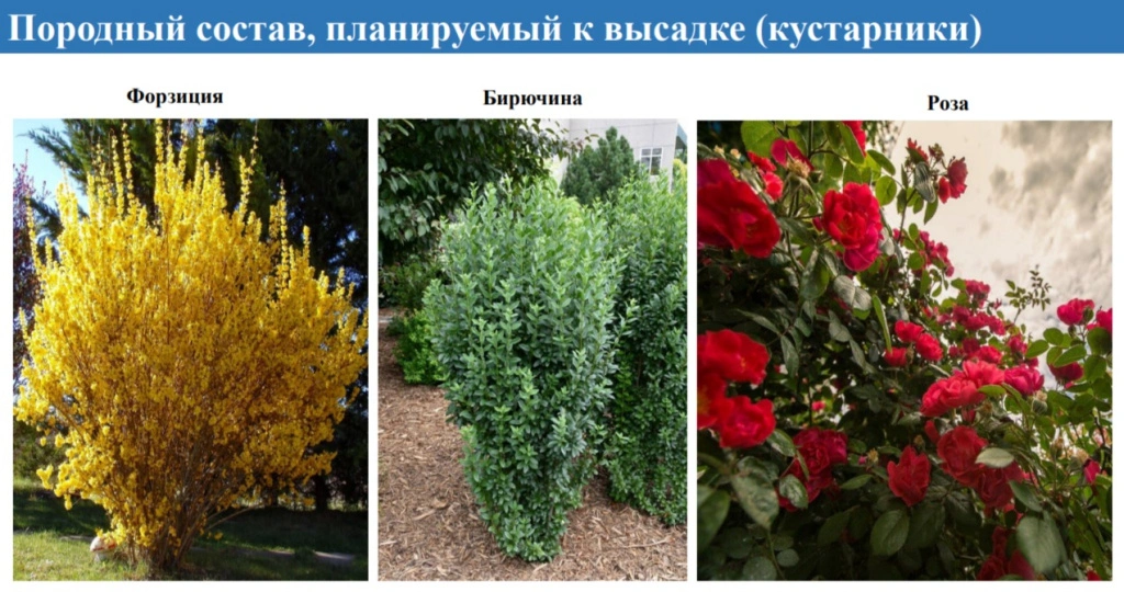 WhatsApp Image 2025-04-10 at 09.17.32.jpeg