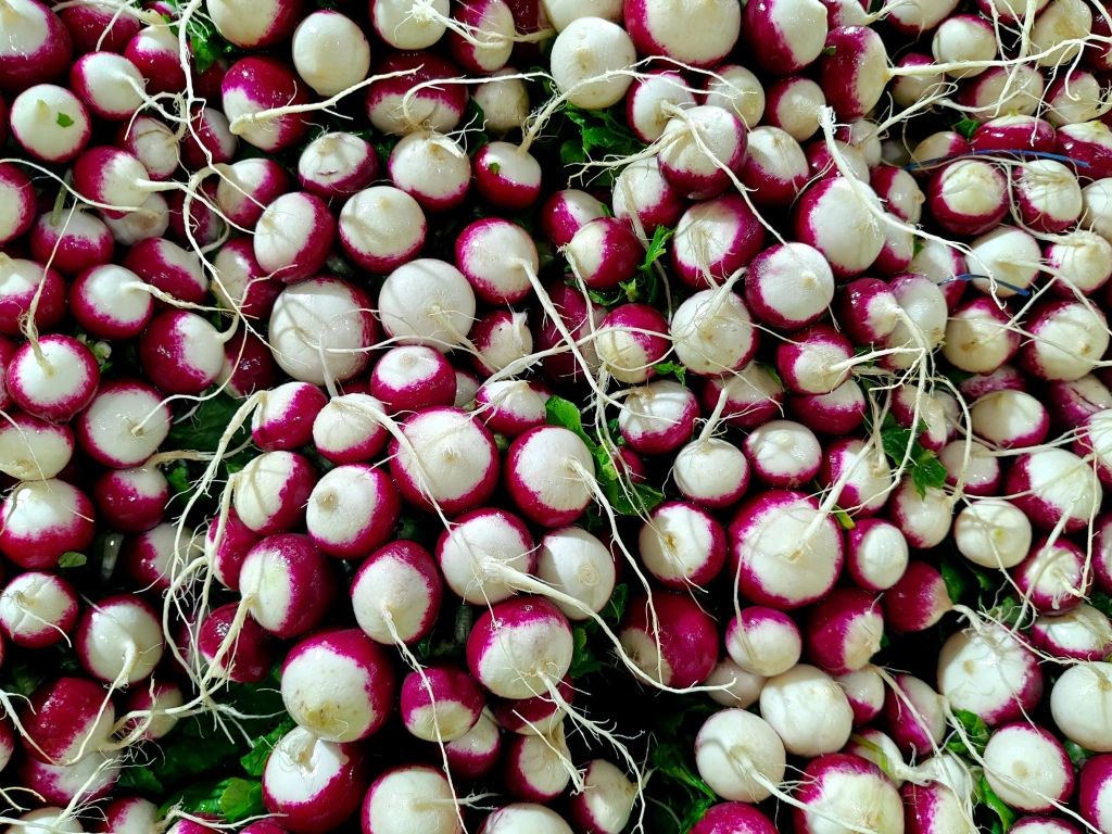 IMG20250321095222 (1).jpg