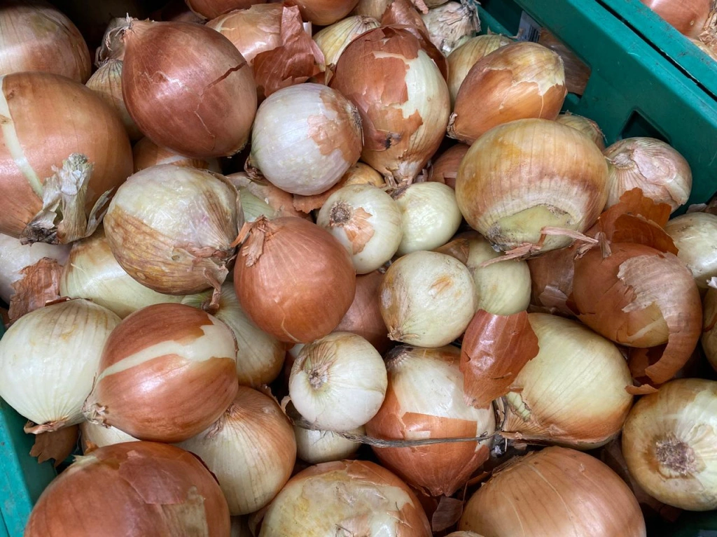 45cf5dad-f6a0-4de7-85e0-cb02552dd532.jpg 45cf5dad-f6a0-4de7-85e0-cb02552dd532.jpg